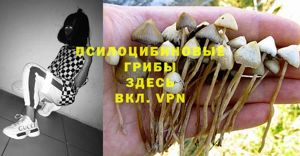 a pvp Бронницы